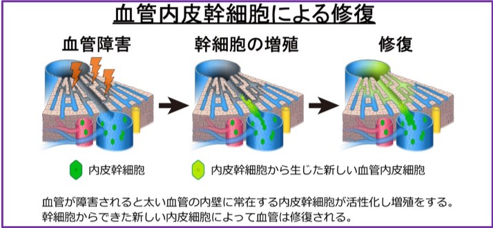 大阪大学