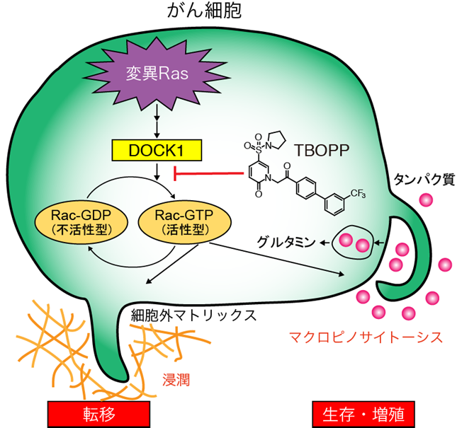 がん
