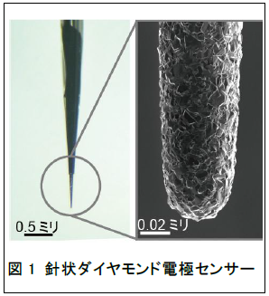 薬物モニター