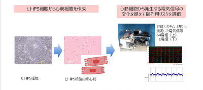 副作用