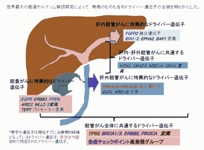 胆道がん