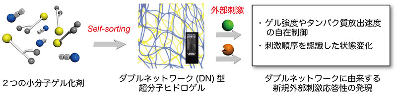 ヒドロゲル