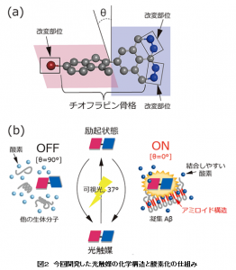 アルツハイマー