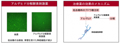 低血糖脳症