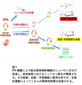 抗てんかん薬