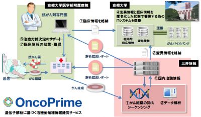 遺伝子解析