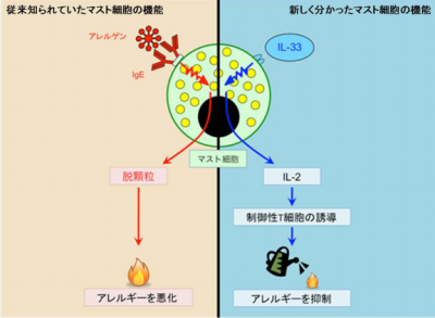 喘息