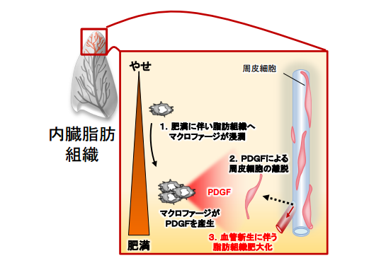 富山大