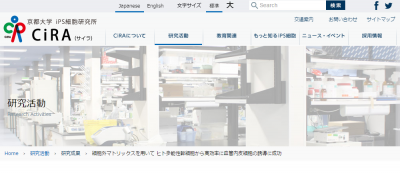 細胞外マトリックス