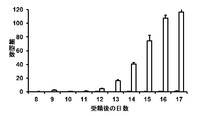 間葉系幹細胞