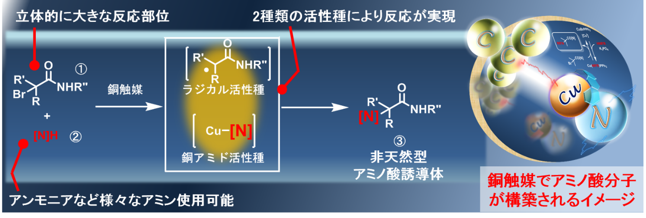 アミノ酸