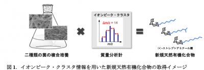 ストレプトアミナール