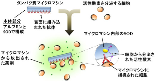 タンパク質マイクロマシン