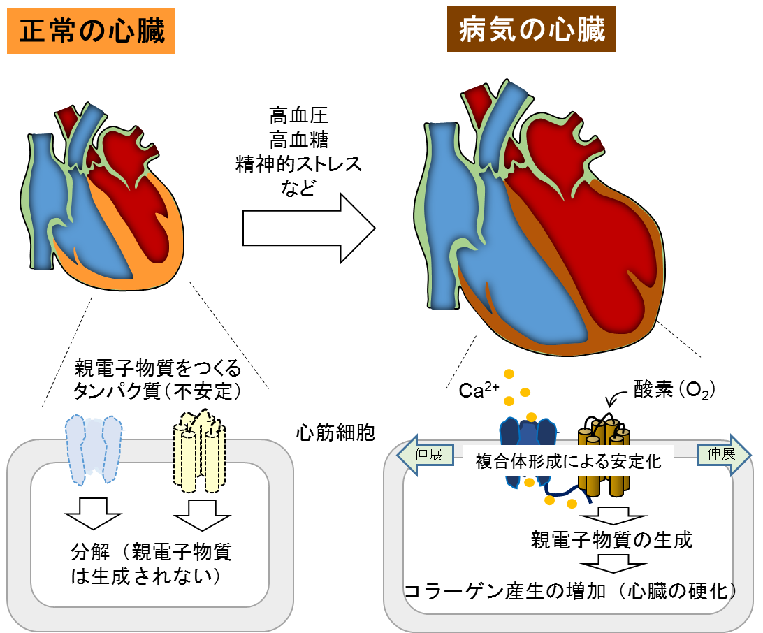 抗がん剤