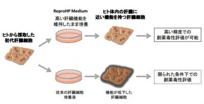 リプロセル