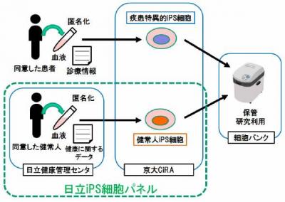 iPS細胞
