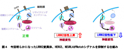 パーキンソン
