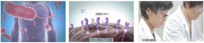 抗体医薬