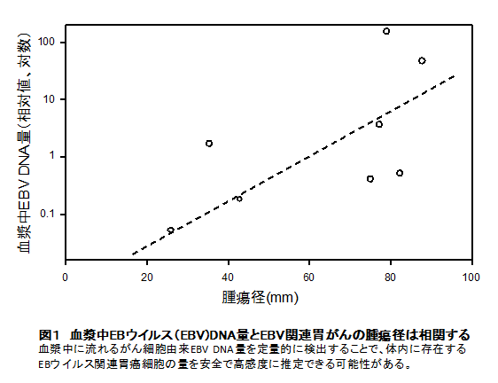 徳島大学