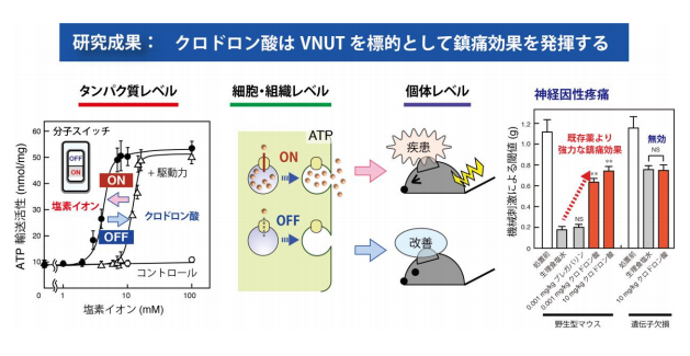 慢性疼痛