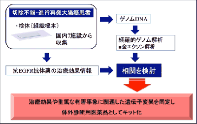 大腸がん