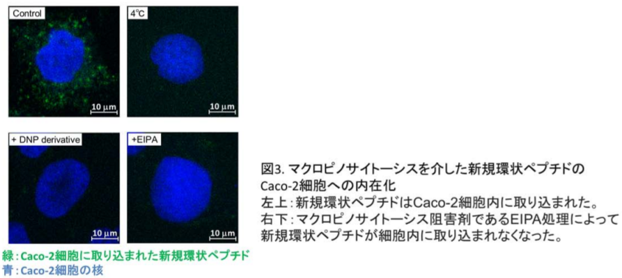 バイオ医薬品