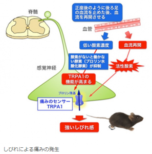 しびれ