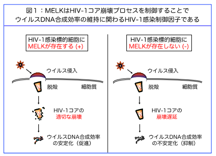 HIV