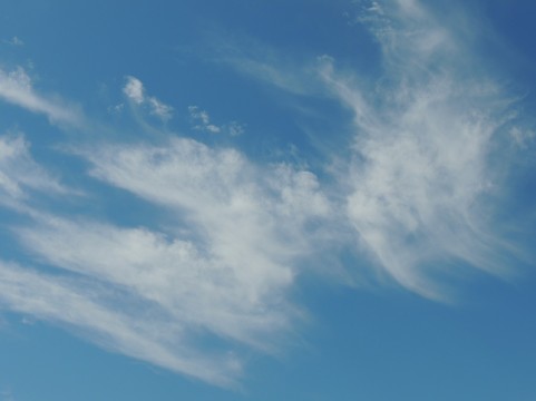 アルツハイマー病