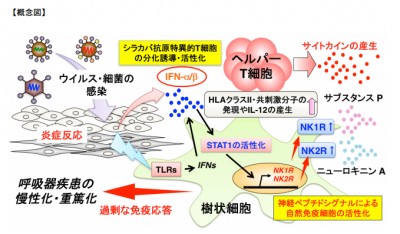 神経ペプチド