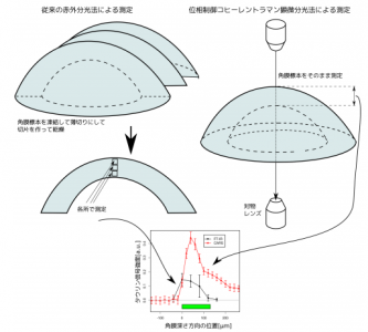 薬剤測定
