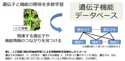 ゲノム創薬
