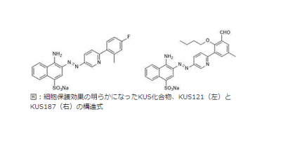 網膜色素変性