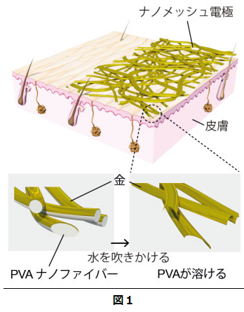 科学技術振興機構