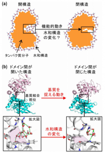 創薬
