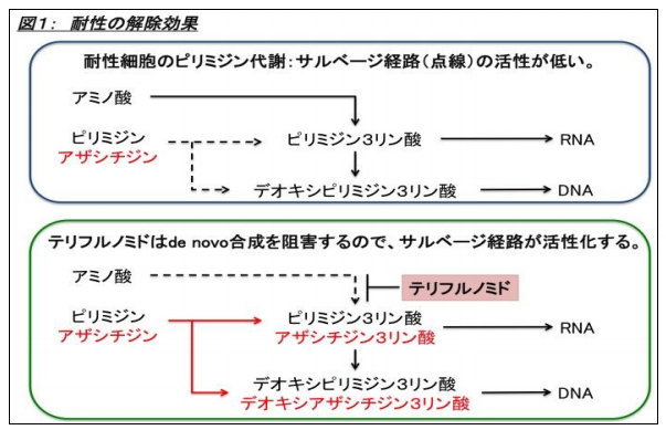 ドラッグリポジショニング