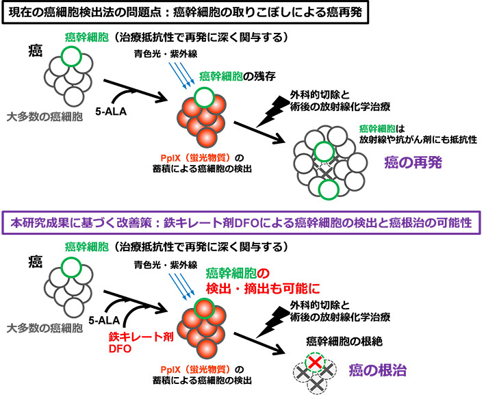 癌幹細胞