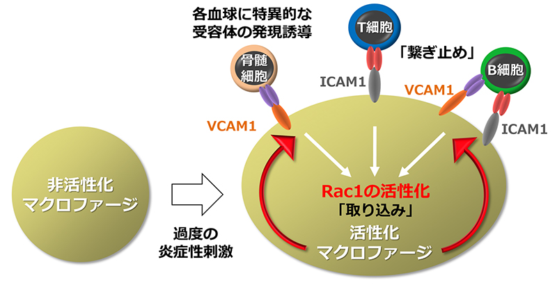 血球貪食症候群