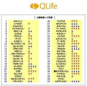 QLife