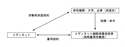 細胞培養技術者