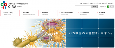 iPS細胞